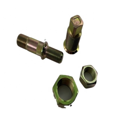 Cerniere in argento per Qingling 700P