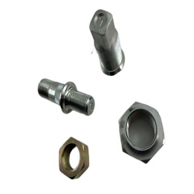 Qingling 100P/600P RODEO Kit di bulloni per pneumatici posteriori sinistri per auto e veicoli fuoristrada