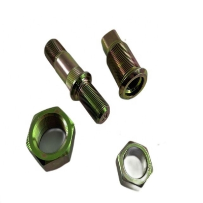 Cerniere in argento per Qingling 700P
