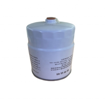 OE NO. 1117030-EE54R Filtro del carburante CLX-593 per 700P Paese 6 FTR Paese 6 in bianco